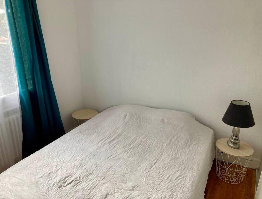 Grand Appartement Proche Cite De L'Espace Toulouse Eksteriør billede